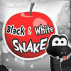 Black and White Snake 