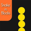 Snake vs Block Online 