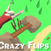 Crazy Flips 3D