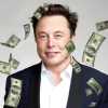 Spend Elon Musk Money